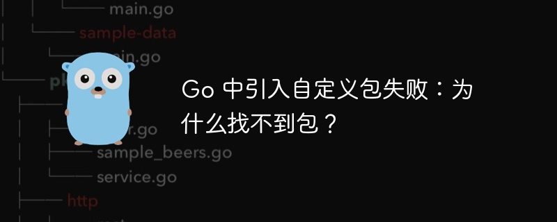 Go 中引入自定义包失败：为什么找不到包？