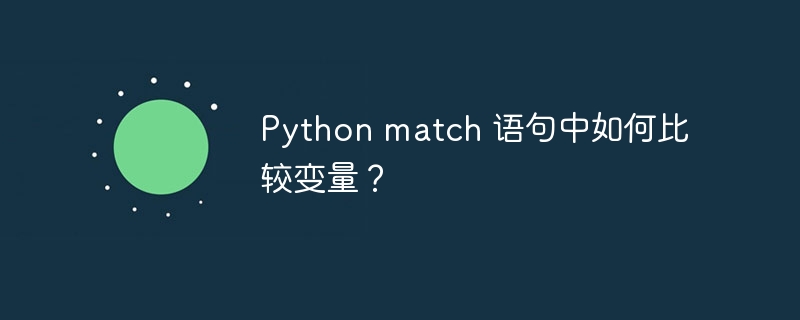 Python match 语句中如何比较变量？