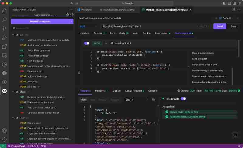 再见 Postman 和 Thunder 客户端:探索 VS Code 的 EchoAPI