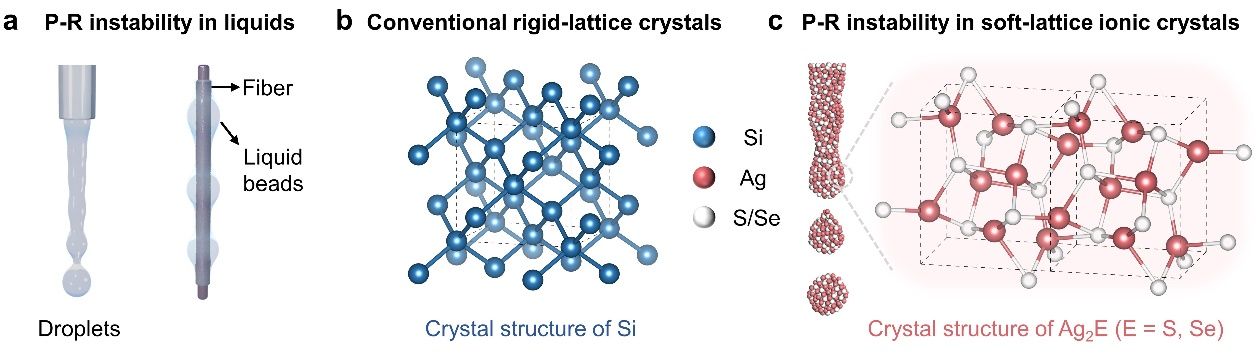 中国科大发现软晶格无机固体中的普拉托-瑞利不稳定性现象