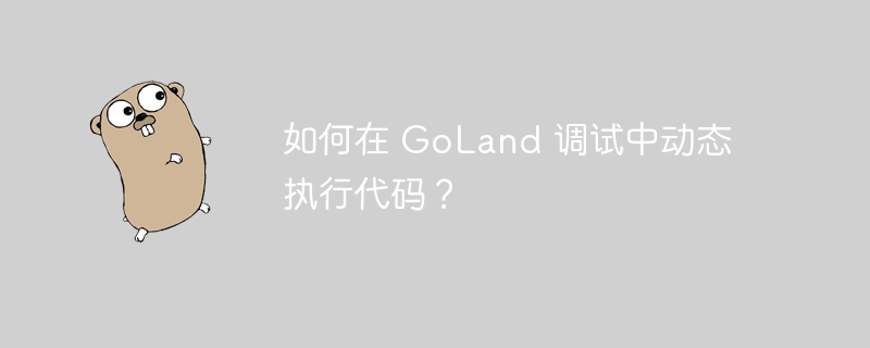 如何在 GoLand 调试中动态执行代码?