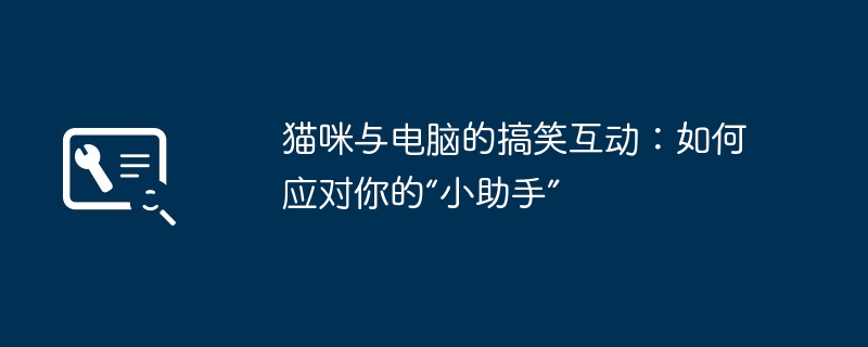 猫咪与电脑的搞笑互动：如何应对你的“小助手”