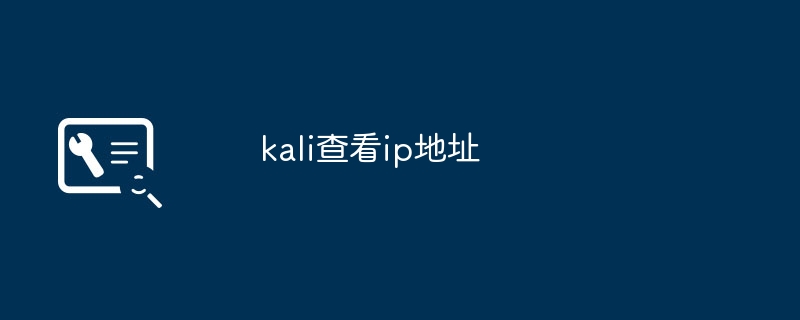 kali查看ip地址