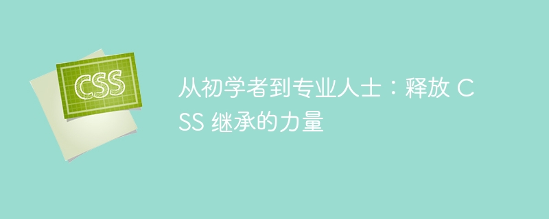 从初学者到专业人士:释放 CSS 继承的力量