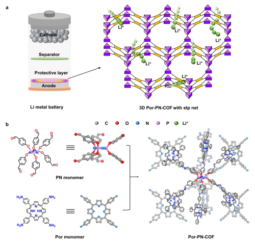 中国科学院发展出新型三维共价有机框架 助力实现高性能锂金属电池