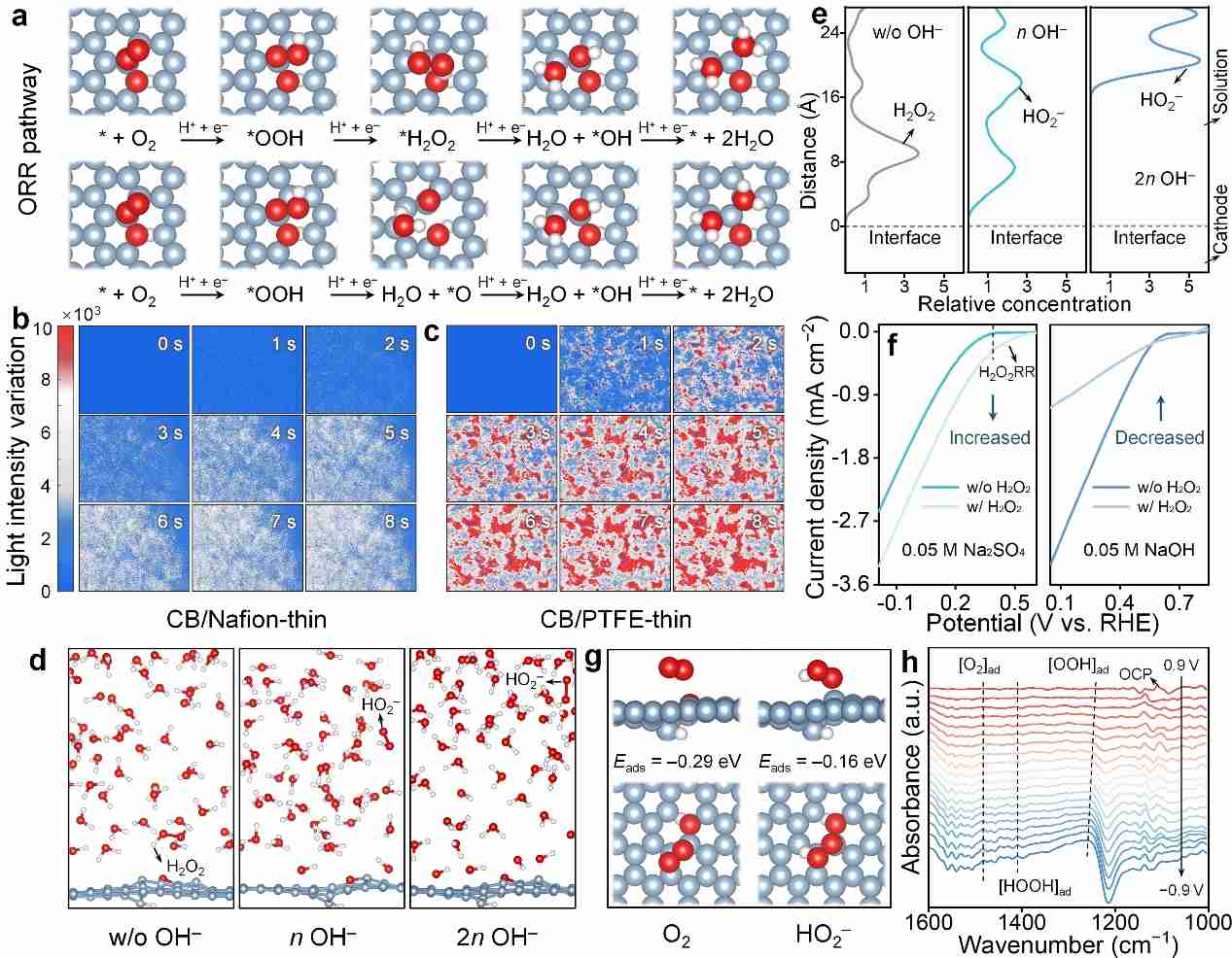 清华大学团队合作在双氧水绿色电合成方向取得新进展