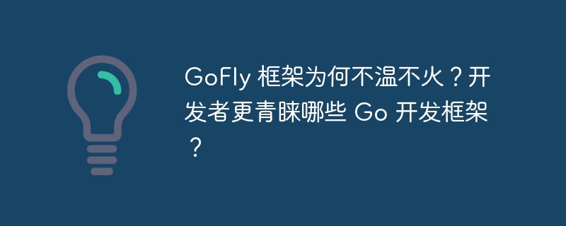 GoFly 框架为何不温不火?开发者更青睐哪些 Go 开发框架?