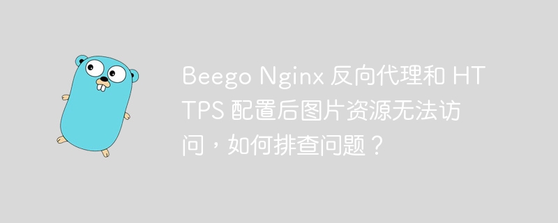 Beego Nginx 反向代理和 HTTPS 配置后图片资源无法访问,如何排查问题?