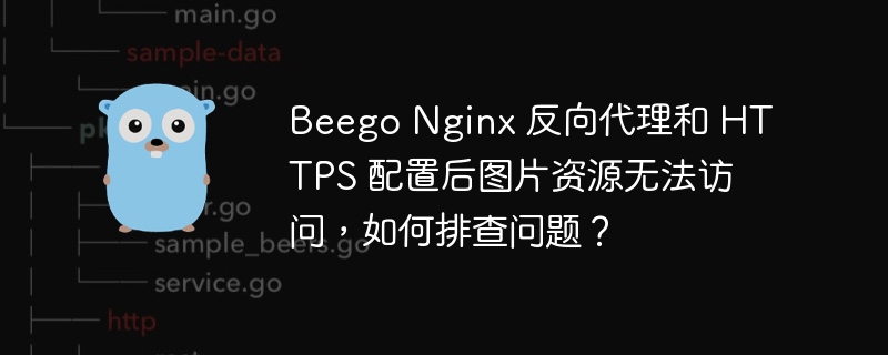 Beego Nginx 反向代理和 HTTPS 配置后图片资源无法访问，如何排查问题？
