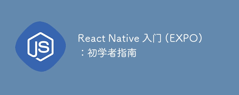 React Native 入门 (EXPO):初学者指南
