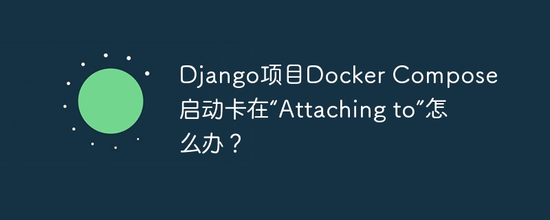 Django项目Docker Compose启动卡在“Attaching to”怎么办？