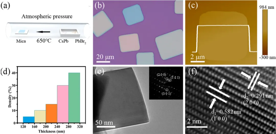 中山大学刘飞教授、邓少芝教授在基于非对称电极型Au/CsPbBr3/SmB6结构的高品质自驱动可见光探测器研究取得新突破
