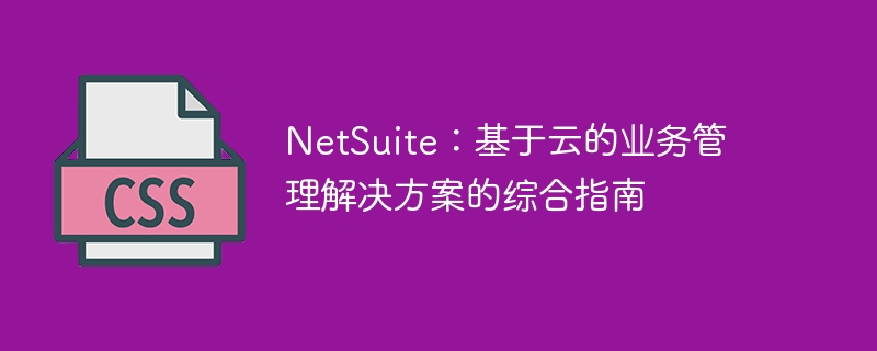 NetSuite:基于云的业务管理解决方案的综合指南