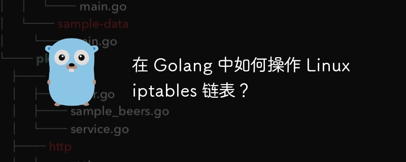 在 Golang 中如何操作 Linux iptables 链表？
