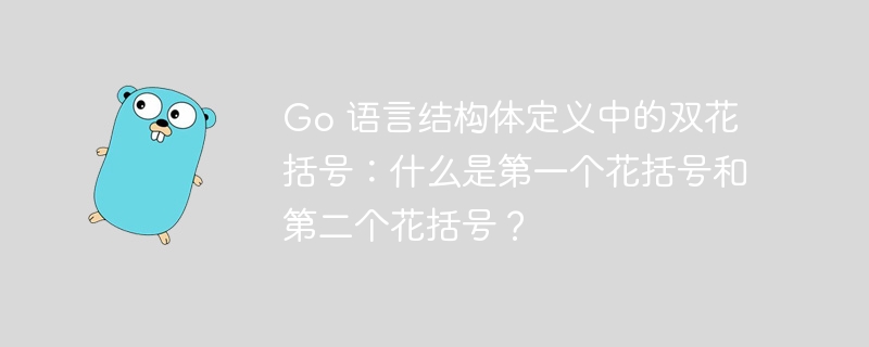 Go 语言结构体定义中的双花括号:什么是第一个花括号和第二个花括号?