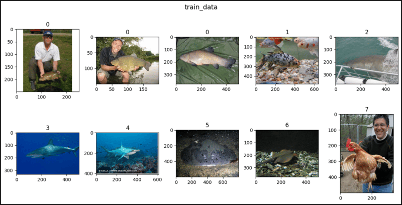 PyTorch 中的 ImageNet