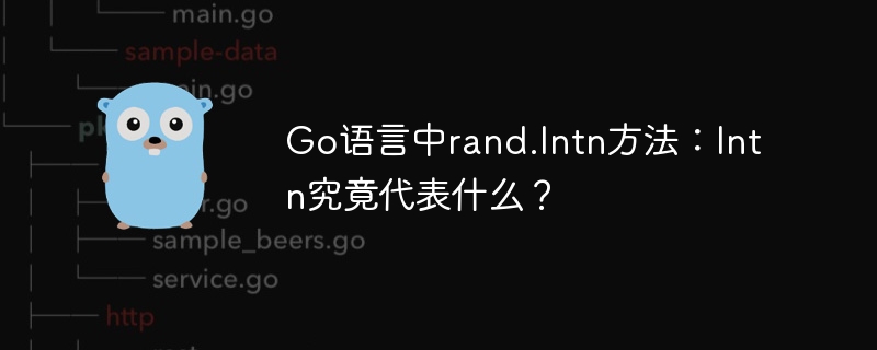 Go语言中rand.Intn方法：Intn究竟代表什么？