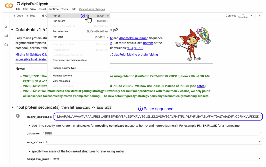 不懂AI、不会编码?如何轻松拿捏AlphaFold准确预测蛋白结构
