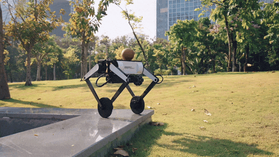 不像人也不像狗,腾讯最新家用机器人有点「离经叛道」