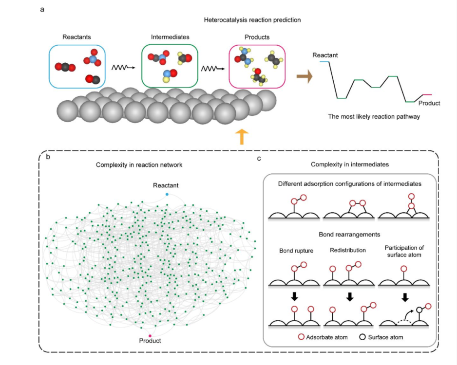 深研院潘锋团队在发展图论结构电化学与AI相融合应用于尿素电催化机理研究取得进展