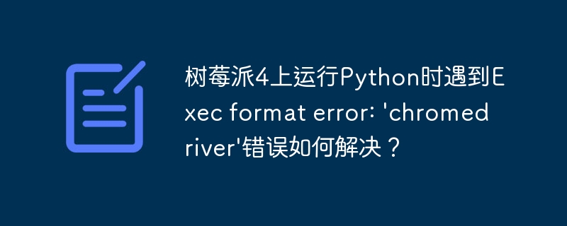 树莓派4上运行Python时遇到Exec format error: 'chromedriver'错误如何解决?
