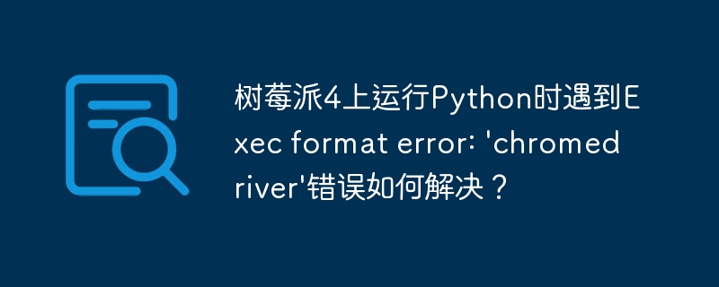 树莓派4上运行Python时遇到Exec format error: 'chromedriver'错误如何解决？
