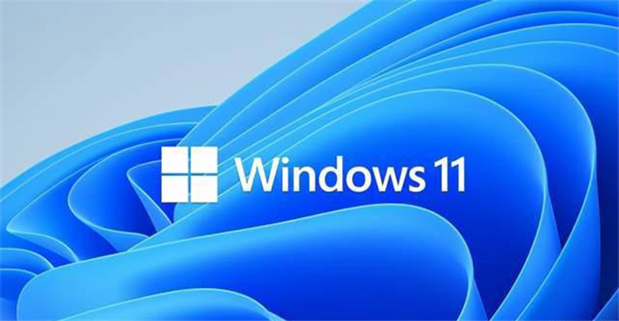 Win11安装版本选择哪个好 怎么选择Win11安装版本
