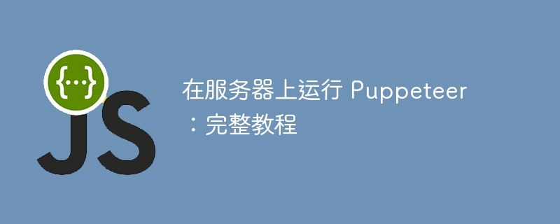 在服务器上运行 Puppeteer：完整教程