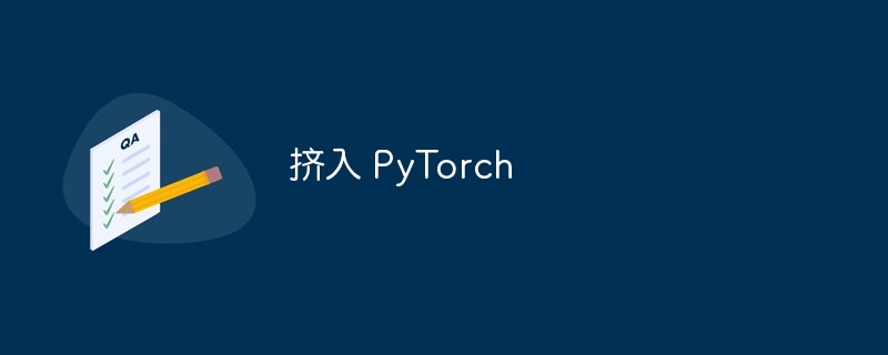 挤入 PyTorch