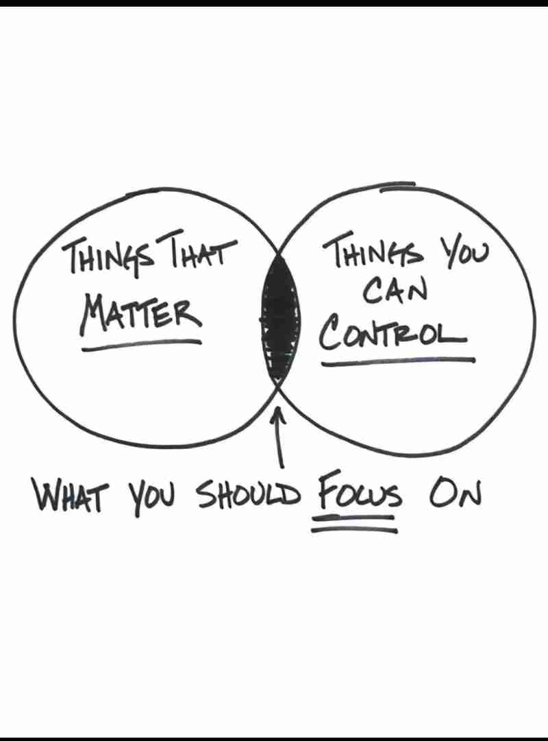 谁来给猫敲响铃? - 我在 4 中学到的东西