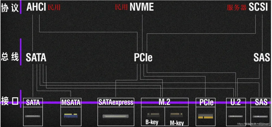 Linux命令lsscsi详解