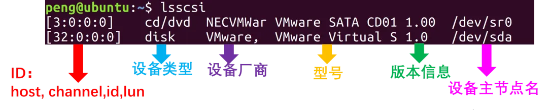 Linux命令lsscsi详解