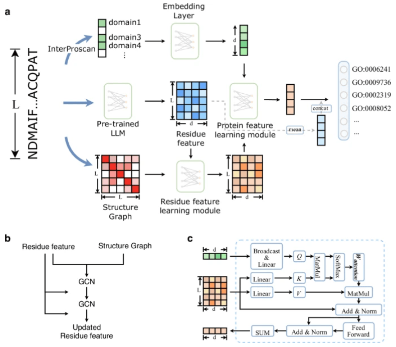 准确预测蛋白质功能新SOTA,中南大学推出全新深度学习模型,登Nature子刊