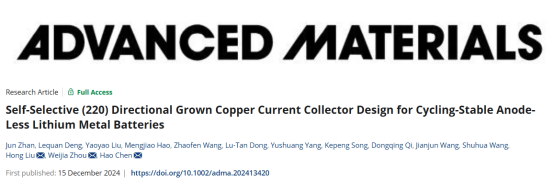 《Advanced Materials》济大周伟家/刘宏、山大陈皓：锂金属电池负极集流体设计中的”斗转星移”