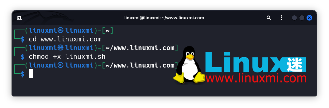 深入理解 Linux chmod 命令:u+x 和 +x 之间的区别