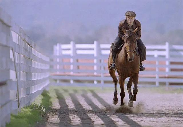 苹果发布多模态模型 Ferret-UI，部分手机 UI 任务超越 GPT-4V