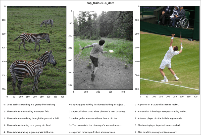 PyTorch 中的 CocoCaptions (1)