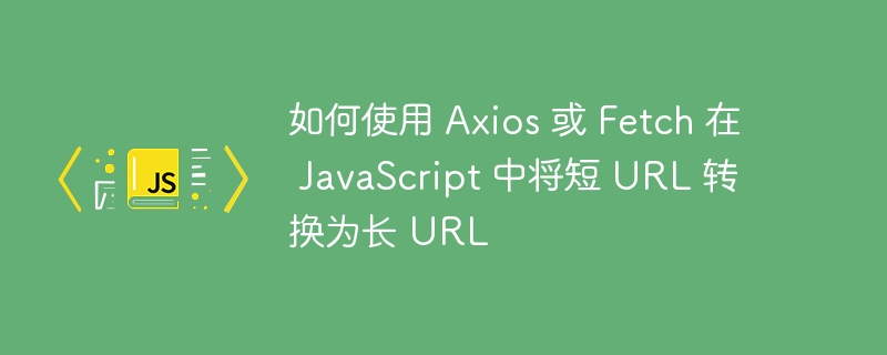 如何使用 Axios 或 Fetch 在 JavaScript 中将短 URL 转换为长 URL