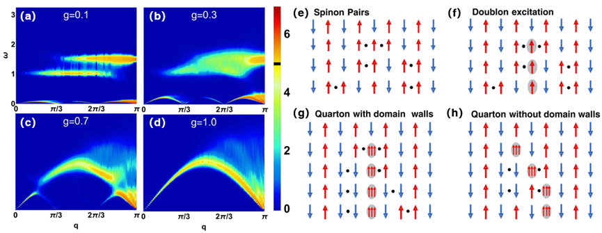 姚道新教授团队在三聚体自旋链的磁激发方面取得重要进展