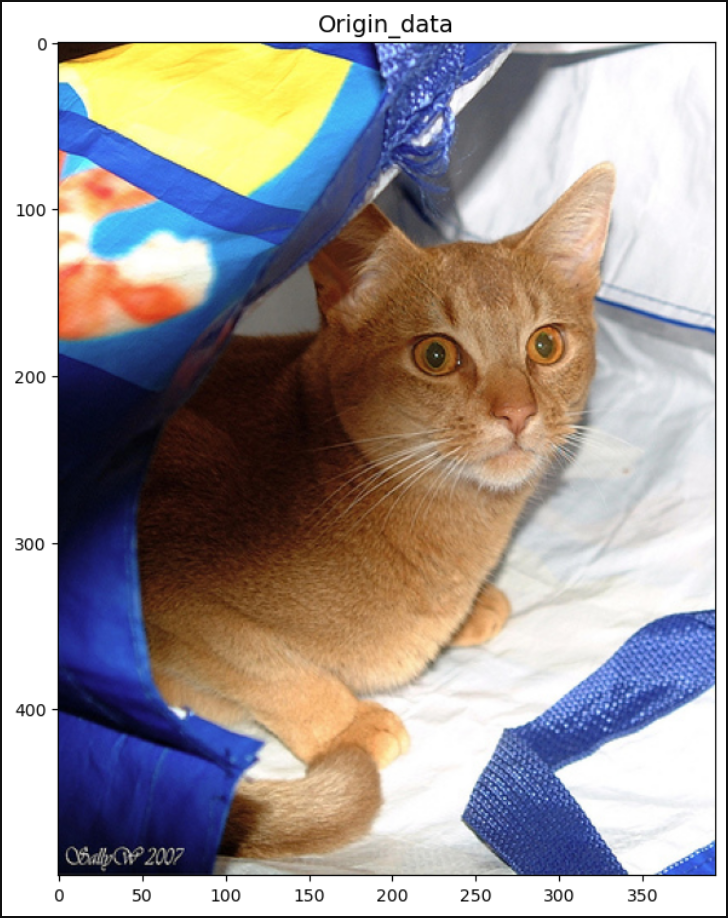 PyTorch 中的 FiveCrop