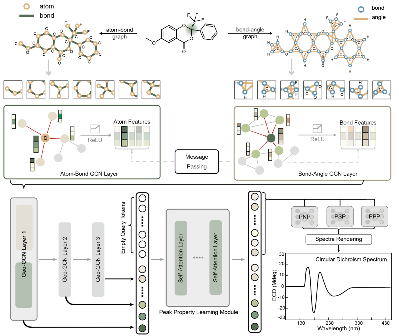 北京大学深圳研究生院莫凡洋/袁粒与合作者开发机器学习手性分子光谱预测模型