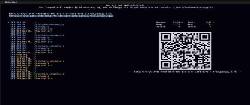 使用 Pinggy 在没有服务器的情况下托管 Vuejs 应用程序