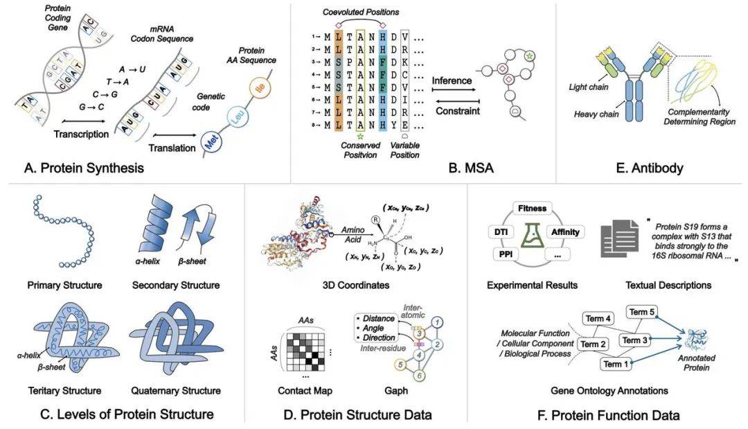 生物学基础与数据概况