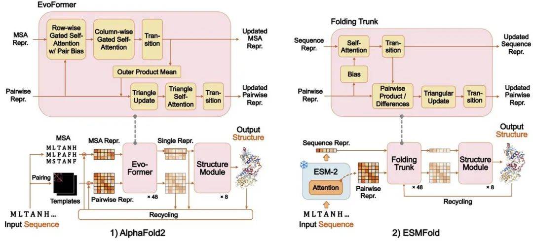 AlphaFold2 和 ESMFold 工作流程