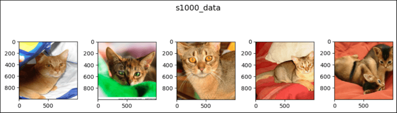 pytorch中的随机溶剂(1)