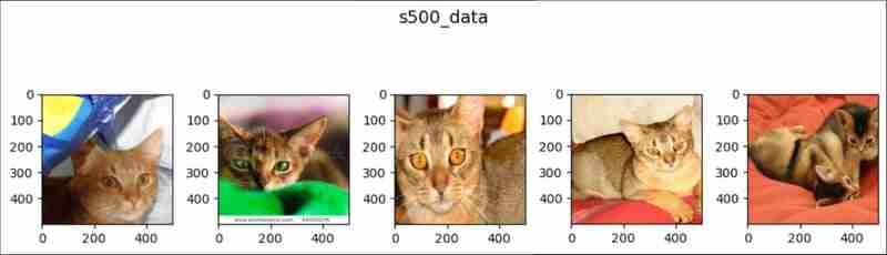 pytorch中的随机溶剂(1)