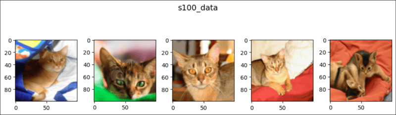 pytorch中的随机溶剂(1)