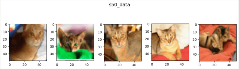 pytorch中的随机溶剂(1)