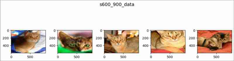 pytorch中的随机溶剂(1)