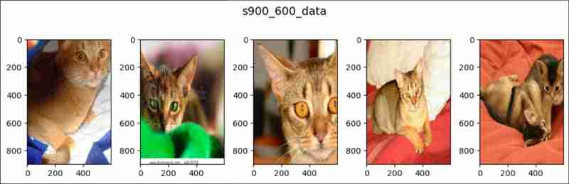 pytorch中的随机溶剂(1)